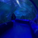 Akvaariumitunneli 180 või 90 kraadi akrüülplaadid