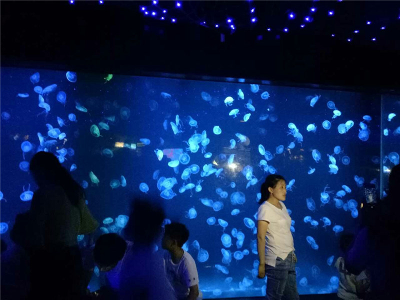 2018 akrüülmustlaste akvaariumi paak klaas