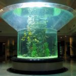 pmma klaasist akvaariumi pool silindri perspex selge kala tank