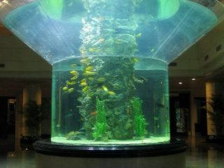pmma klaasist akvaariumi pool silindri perspex selge kala tank