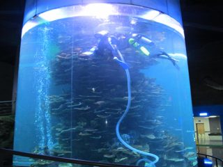 selge akrüülist silindriga suur akvaariumide või ookeanipargi kalapaat