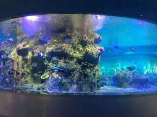 tehase varustus kala kaussid, ümmargused klaasist akvaariumid