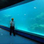 Valatud seina UV akrüülpaneel akvaariumi, ookeanium