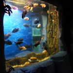 2018 akvaariumi aknaga top kvaliteedi akrüülpaneel
