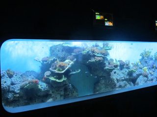 Kunstlik valge akrüüli silindriline läbipaistev kala akvaarium / vaateaken
