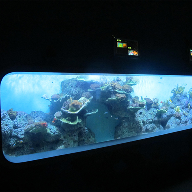 Kunstlik valge akrüüli silindriline läbipaistev kala akvaarium / vaateaken