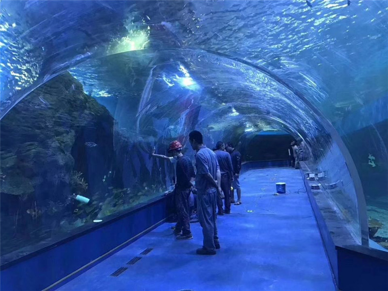 Kohandatud plexiglass akrüül tunnel akvaariumi