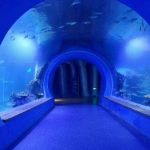 Erinevate kuju suur akrüülne tunnel akvaarium