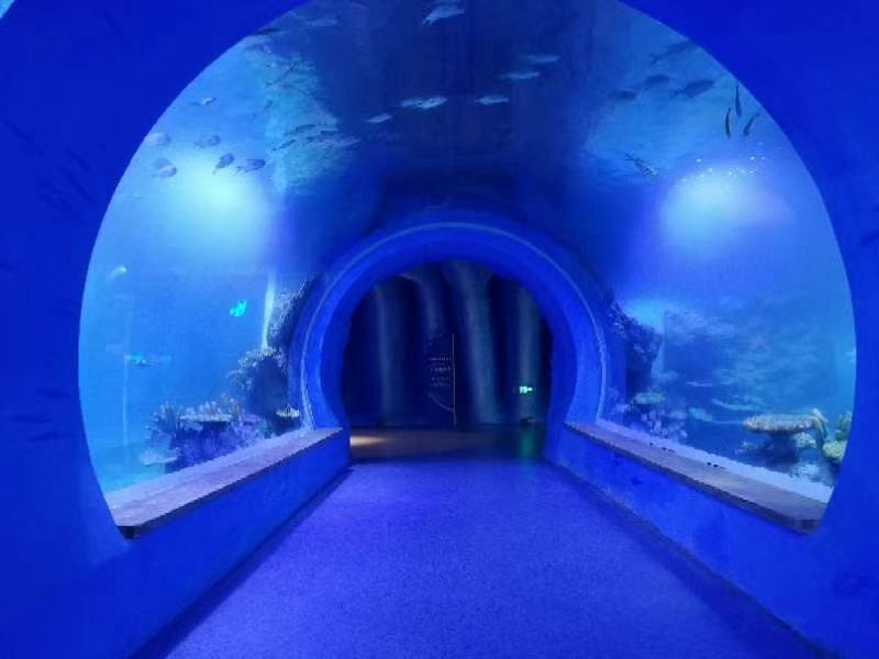 Erinevate kuju suur akrüülne tunnel akvaarium