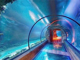 Kaasaegne disain akrüül akvaariumi pikk tunnel