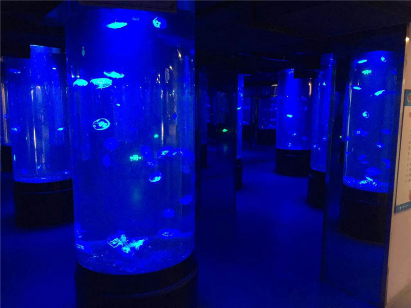 akrüülmustlaste akvaariumi paak klaasist