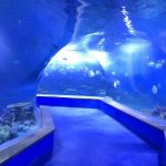 läbipaistev akrüülklaas tunneli akvaarium
