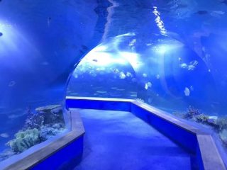 läbipaistev akrüülklaas tunneli akvaarium